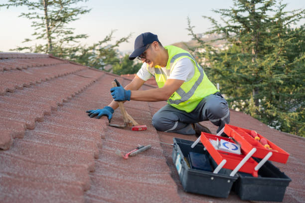 Best Local Roofing Companies  in Somerville, TN